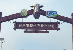 丰顿科技